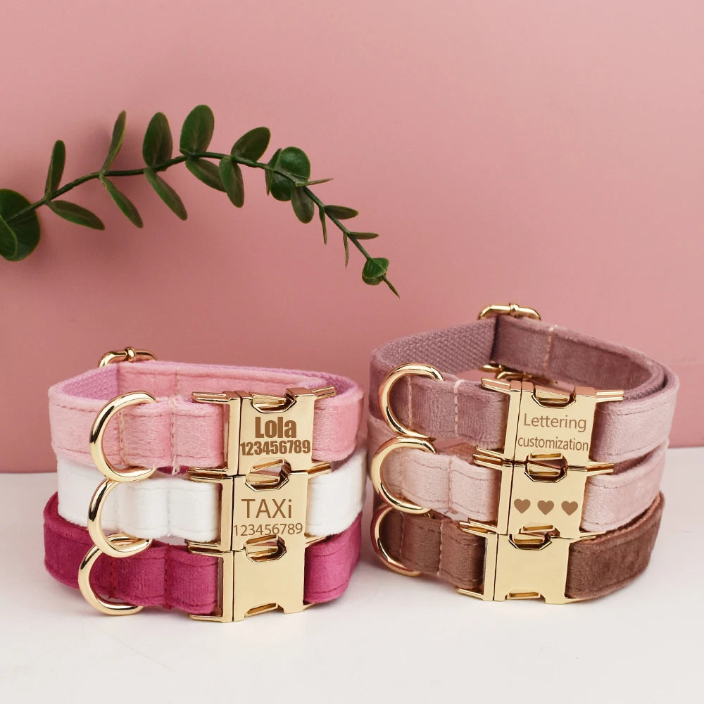 Personalized velvet dog collar with engraving
