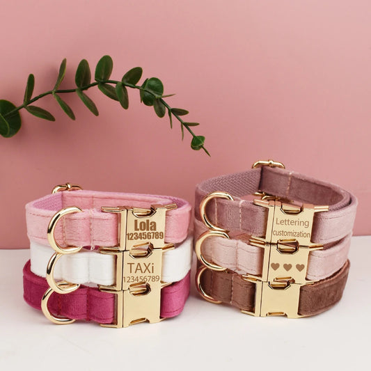 Personalized velvet dog collar with engraving
