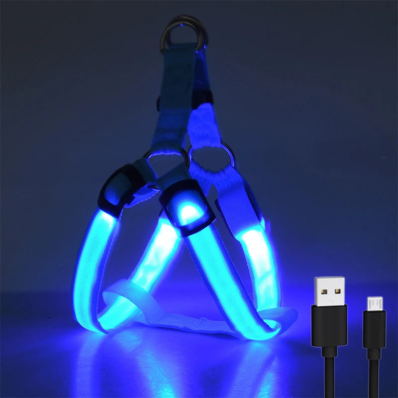LED dog harness adjustable rechargeable night safety