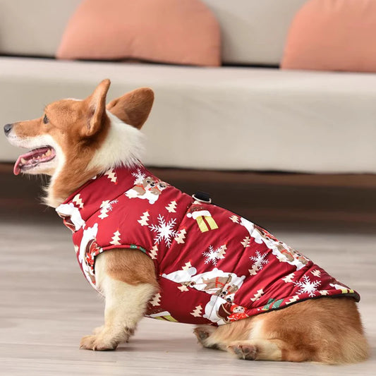 Small dog wearing waterproof cotton winter jacket with print