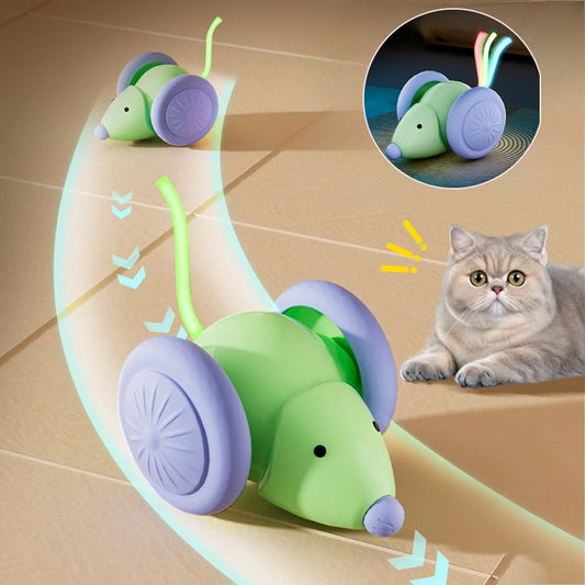 Rechargeable Electric Cat Mouse Toy – Smart Interactive Obstacle-Avoiding Car Shaped Teaser for Kittens