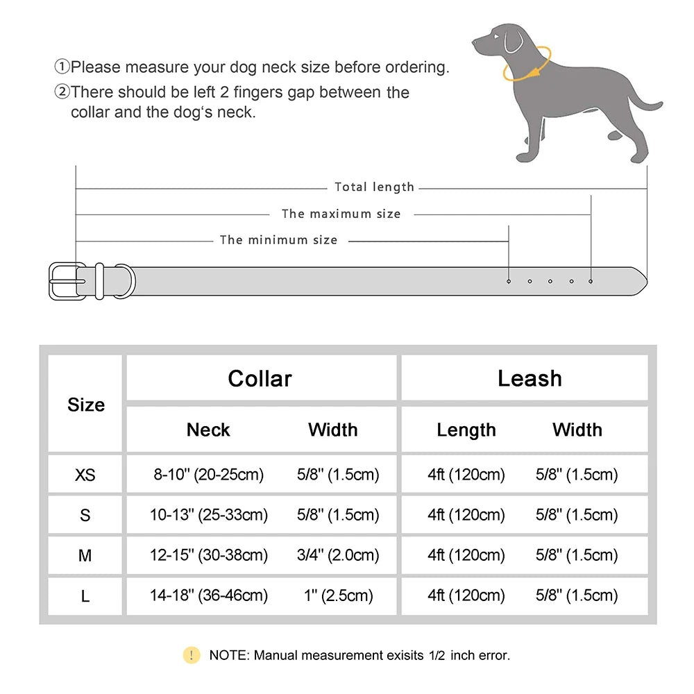 Personalized Dog Collar with Name & Leash – Custom Bling