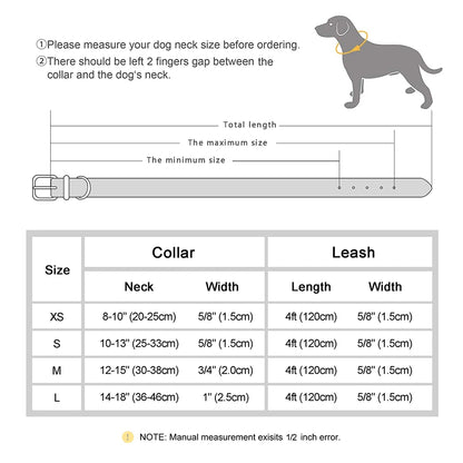 Personalized Dog Collar with Name & Leash – Custom Bling