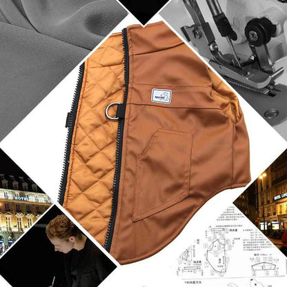 Gray waterproof dog coat with secure straps
