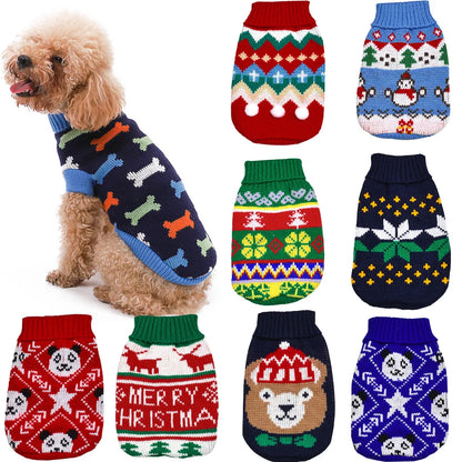 Dog in holiday sweater – Christmas lifestyle photo