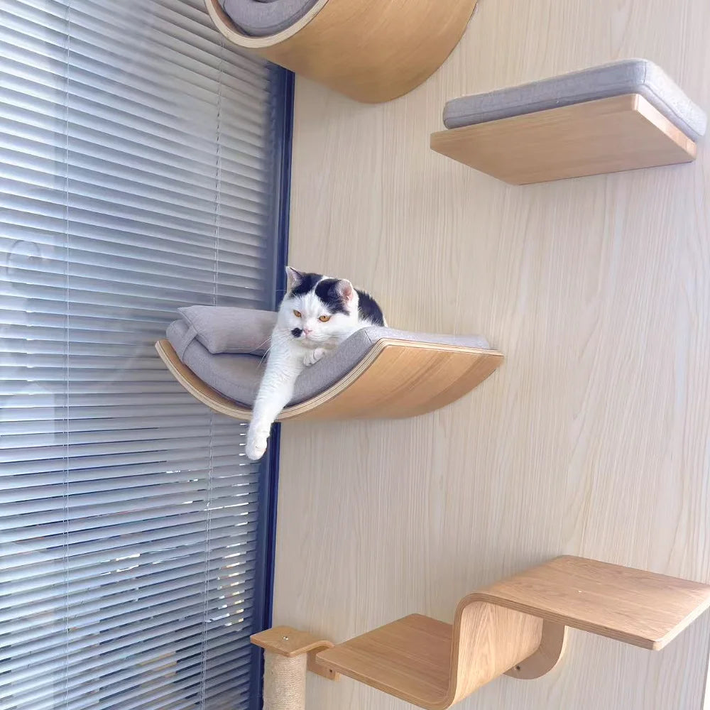 Full wall cat climbing playground – modular shelves and hammocks