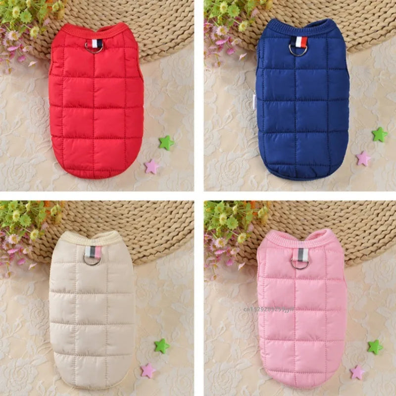 Small dog wearing warm padded winter coat
