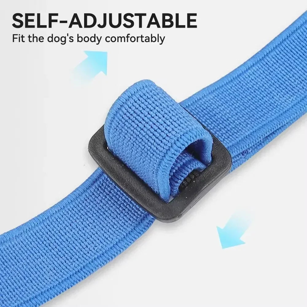 Dog Muzzle – Anti-Biting & Barking Adjustable Mesh