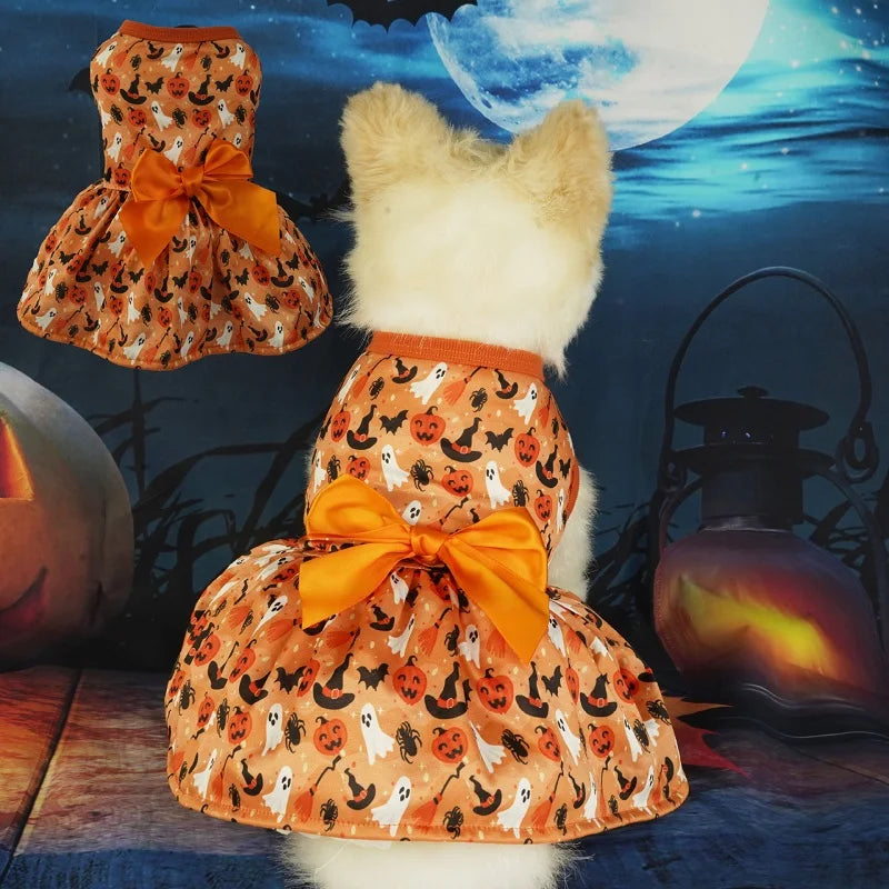 Festive cotton Halloween dog dress with pumpkin print