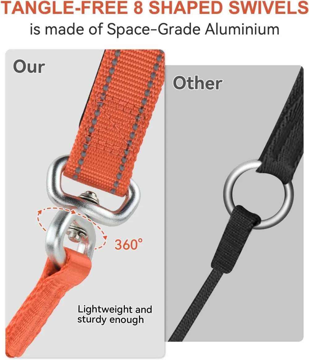 Nylon Slip Lead Dog Leash – Training & Walking