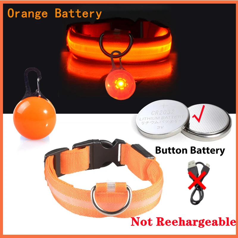 USB Rechargeable LED Dog Collar – Night Safety