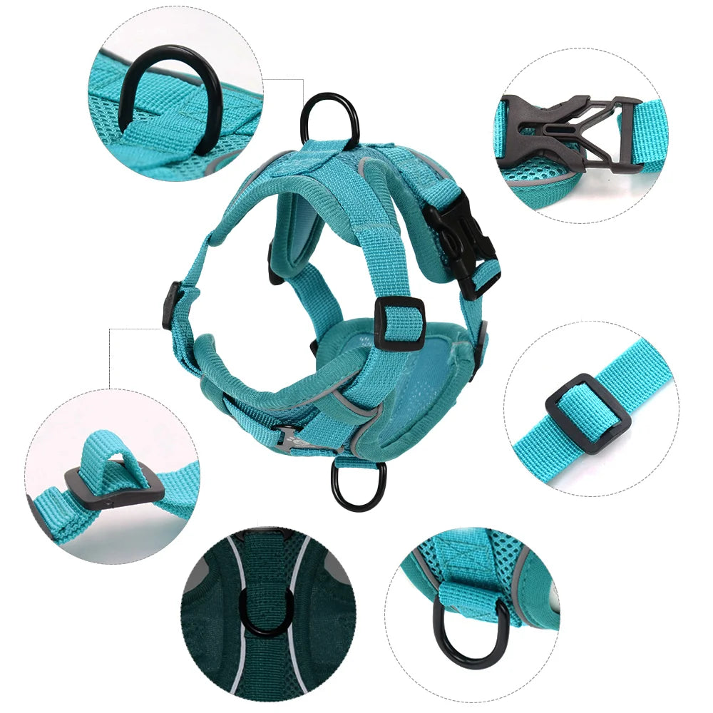 Adjustable mesh harness for medium dogs with quick-release buckle