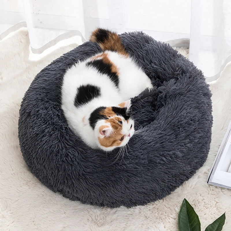 Cat sleeping on grey fluffy donut bed – indoor