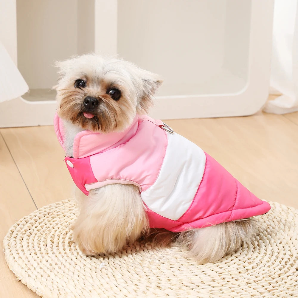 Small dog coat with button closure – back display