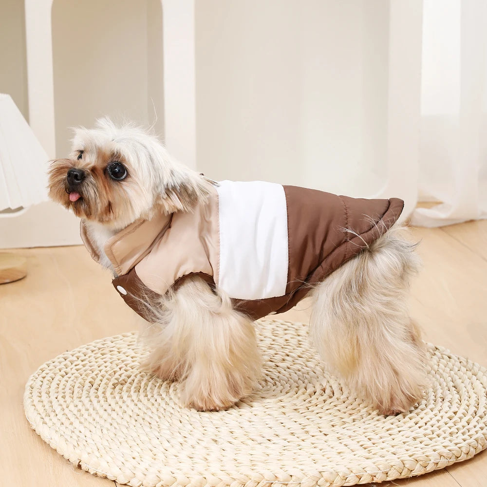 Blue dog winter coat with D-ring – back display