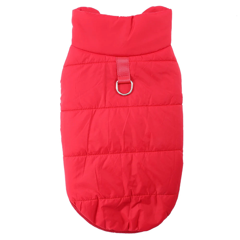 Windproof Winter Dog Jacket – Warm Coat for Small & Medium Dogs