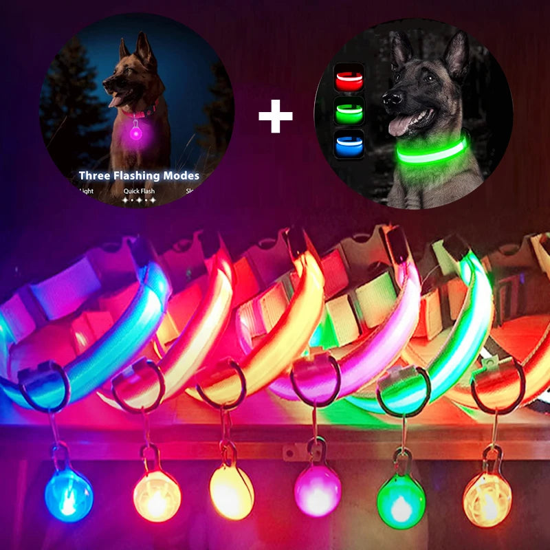USB rechargeable LED glowing dog collar