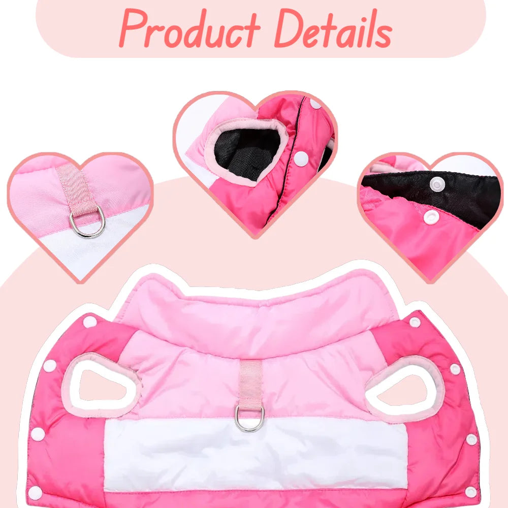 Dog wearing warm pink and white jacket – side view