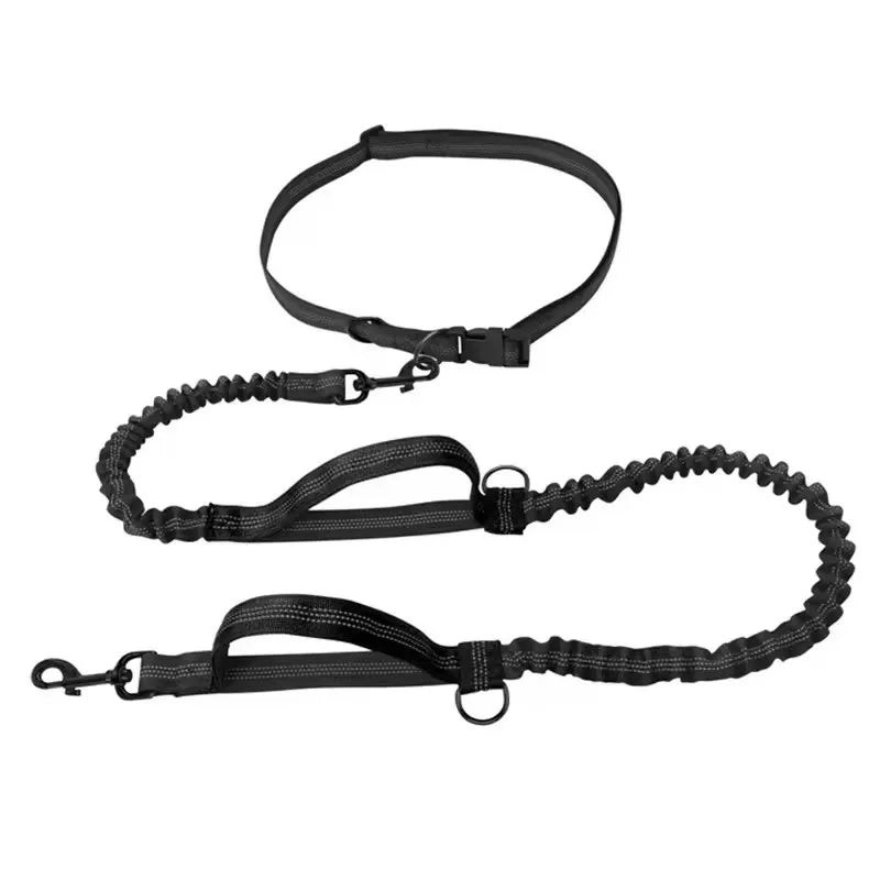 Reflective Elastic Dog Leash – Dual Stretch Traction Rope for Outdoor Running