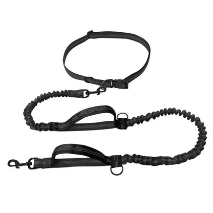 Reflective Elastic Dog Leash – Dual Stretch Traction Rope for Outdoor Running