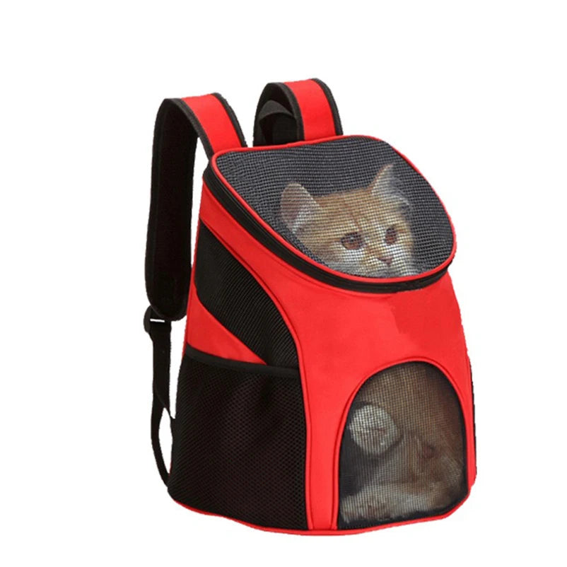Small dog sitting inside red travel backpack