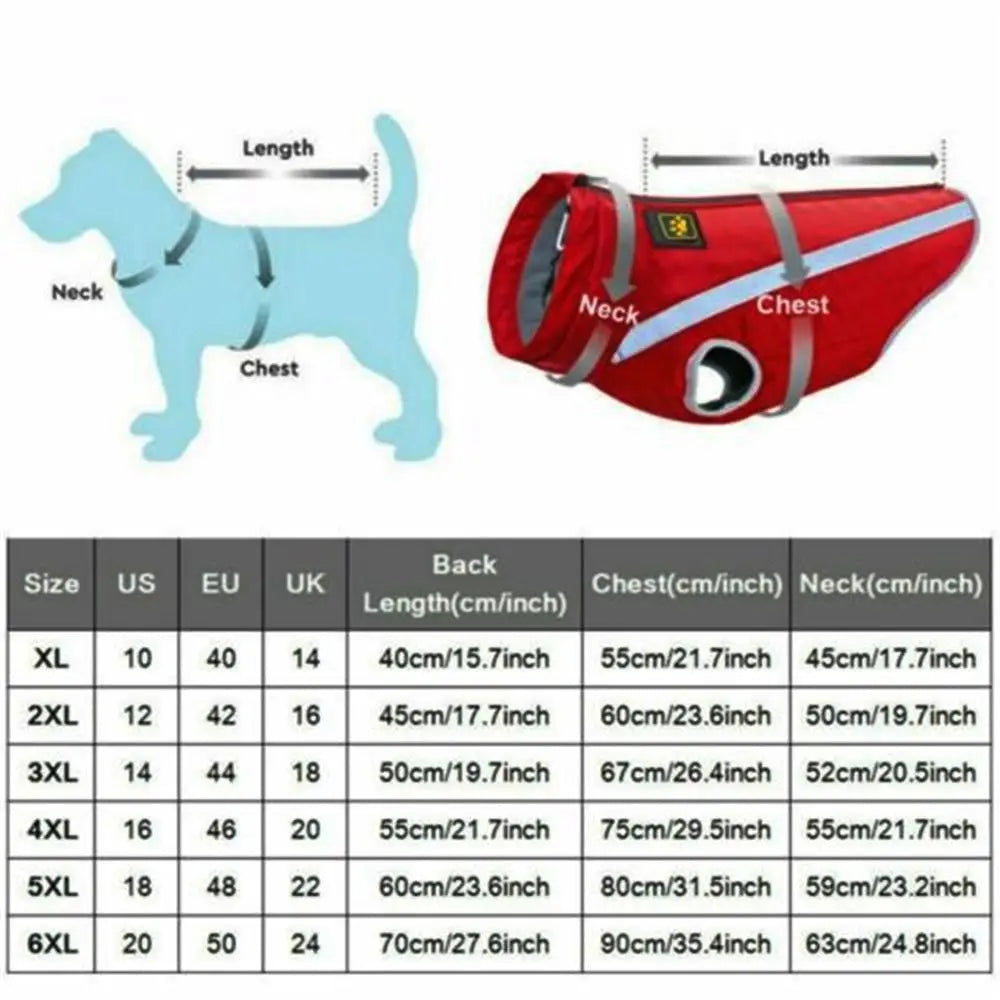 Blue waterproof dog coat with reflective stripes – back display