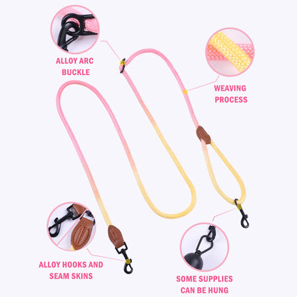 Colorful Gradient Dog Leash – Durable Nylon, Lightweight