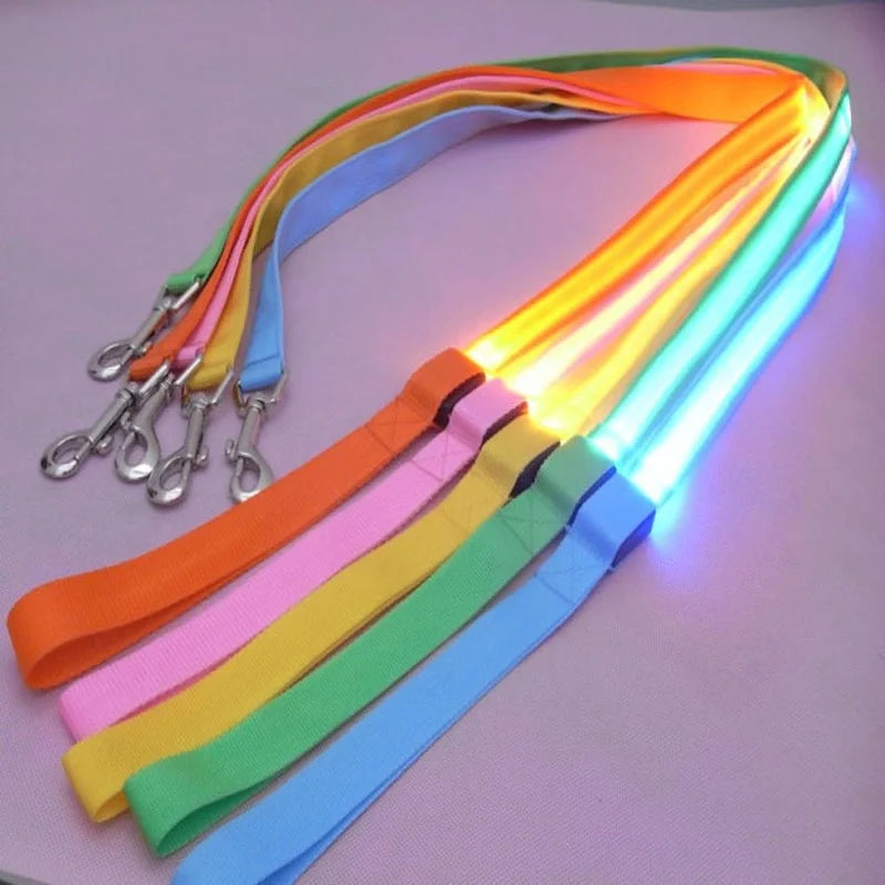 glowing pet leash USB charge durable nylon rope
