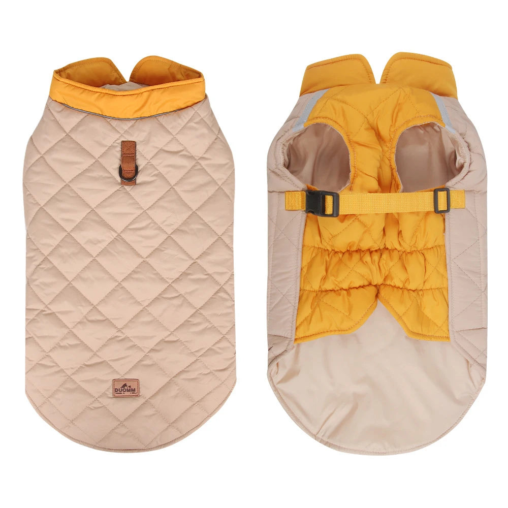 Small dog wearing waterproof padded jacket in beige