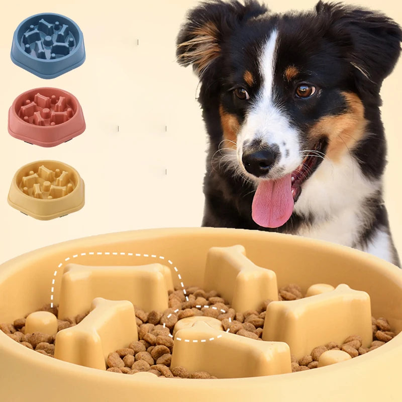 Dog eating from slow feeder bowl with maze design