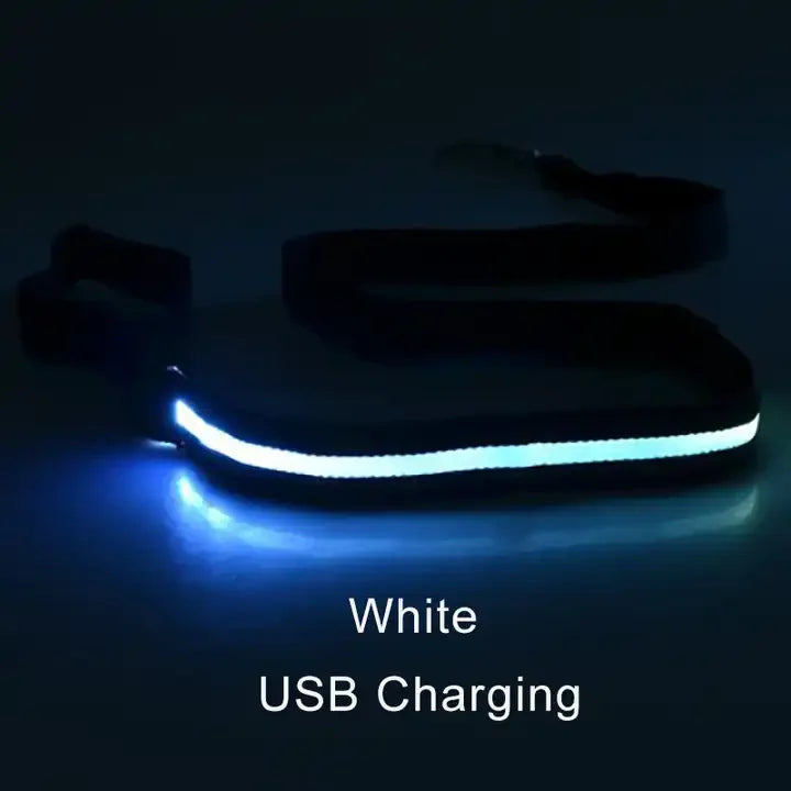 dog walking leash with LED light visibility