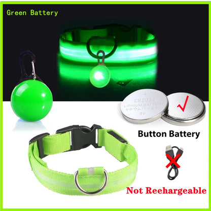 USB Rechargeable LED Dog Collar – Night Safety