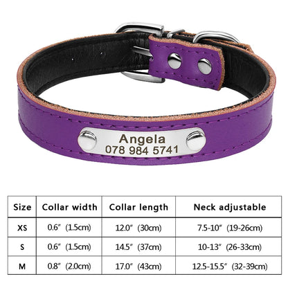 Personalized Cat & Dog Collar with Crystal Rhinestones – Adjustable Collar with Custom Engraved Anti-Lost ID Tag