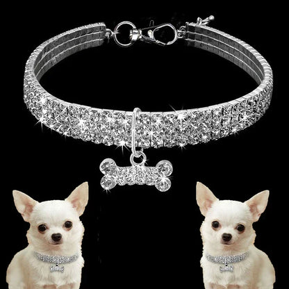 Luxury rhinestone dog collar with bone pendant for small dogs