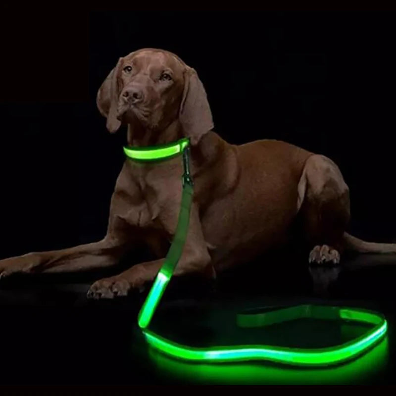 LED dog leash luminous rechargeable night safety