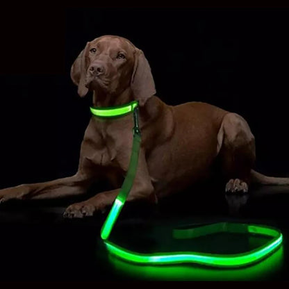 LED dog leash luminous rechargeable night safety