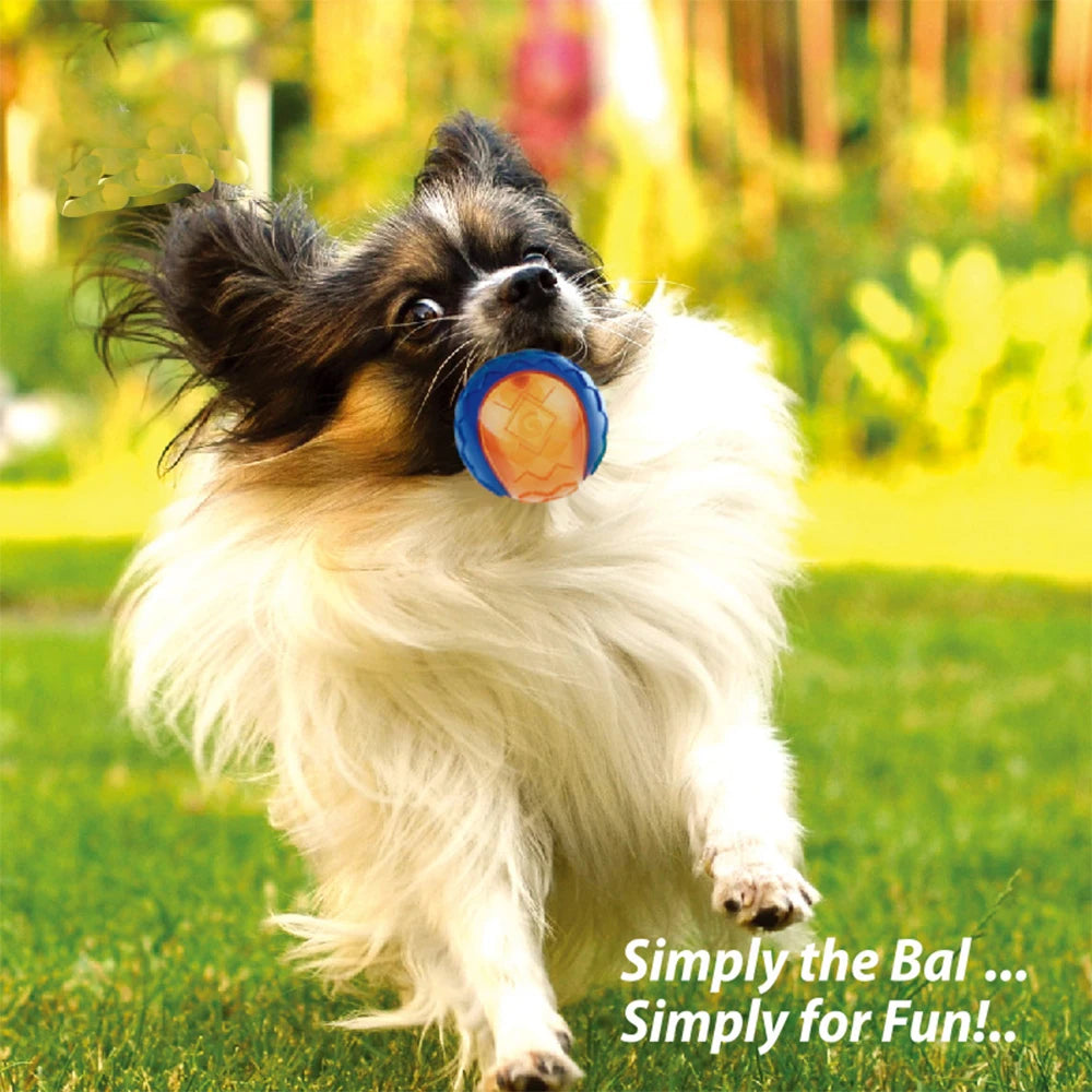 Yellow interactive squeaky ball for dogs and puppies