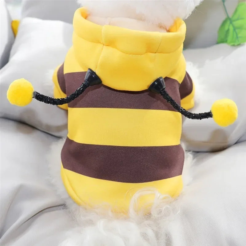 Bee pet hoodie with hood and antennas – back view