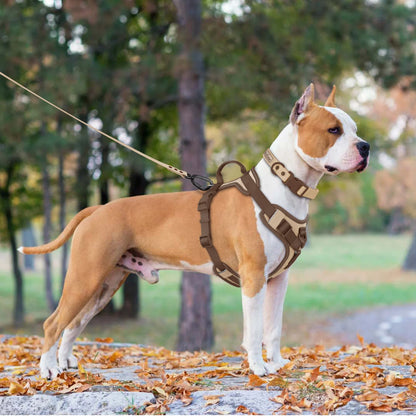 Luxury Dog Harness – No-Pull Adjustable Chest Strap in Chocolate Color