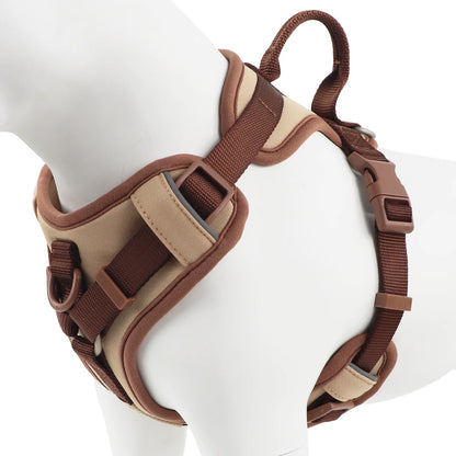 Border Collie wearing chocolate luxury dog harness
