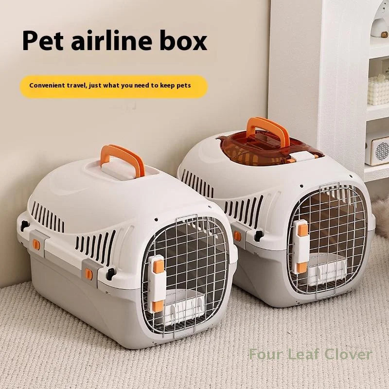 Durable plastic travel box for kittens and puppies