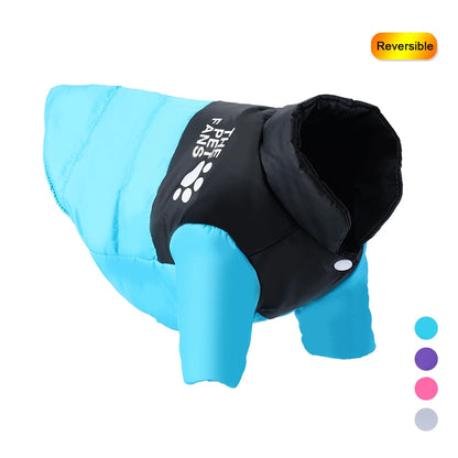 Blue reversible winter dog jacket waterproof and warm