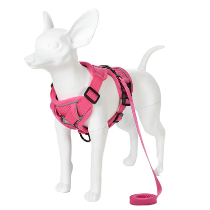 Breathable Dog Harness & Leash Set – No-Pull, Reflective
