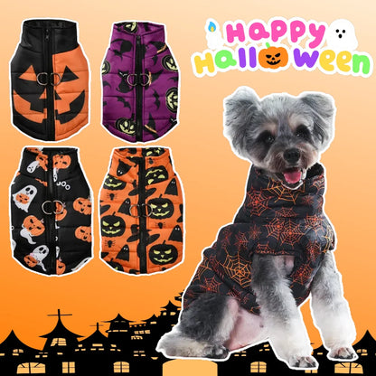 Pumpkin print Halloween dog jacket
