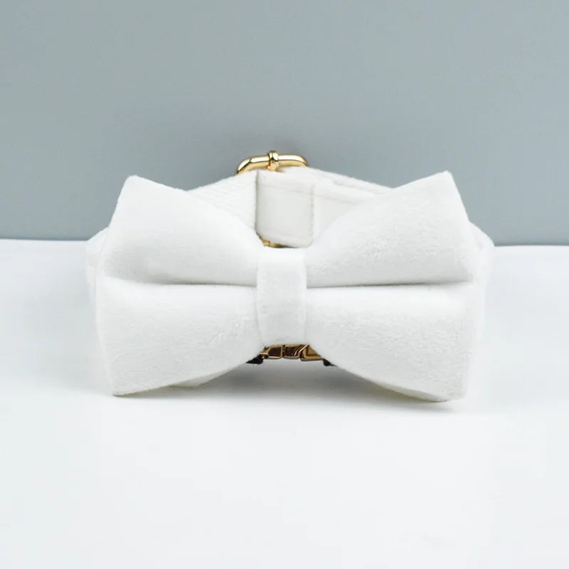 Custom Velvet Dog Collar & Leash – Engraved Pet Name Tag