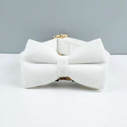 Custom Velvet Dog Collar & Leash – Engraved Pet Name Tag