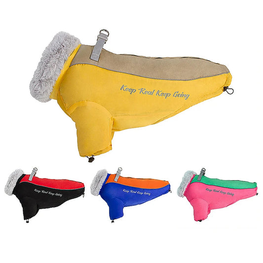 Black waterproof dog jacket with fur collar for winter walks