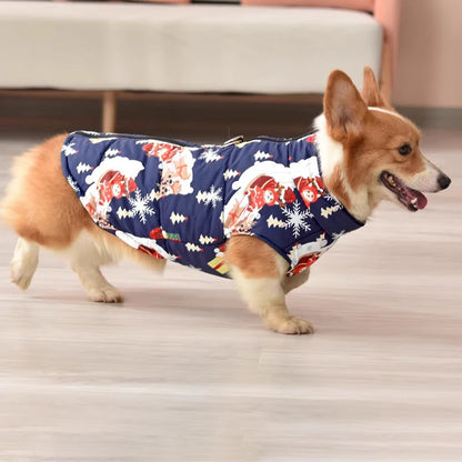 Colorful printed dog coats for autumn and winter