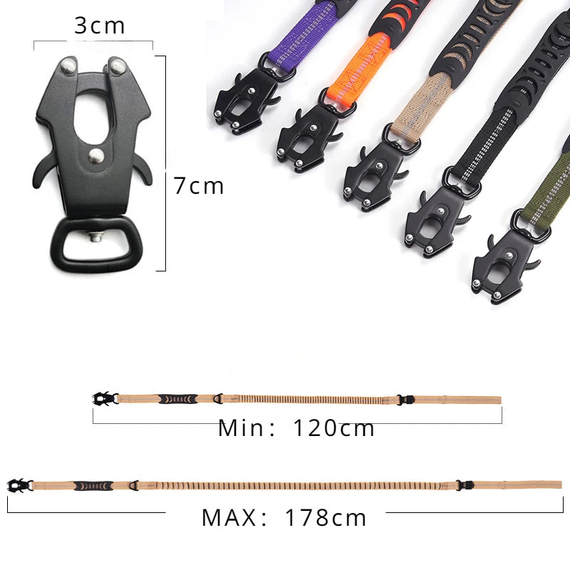 Close-up of car buckle clip on reflective dog leash