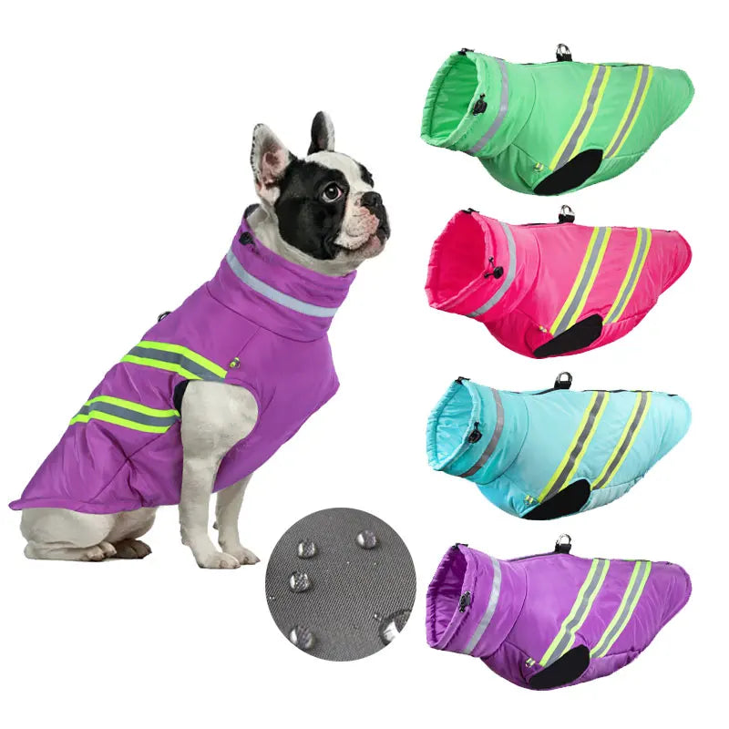 Green waterproof winter dog jacket with reflective strips